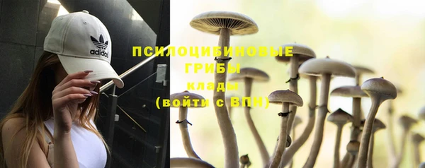 ешки Вязники