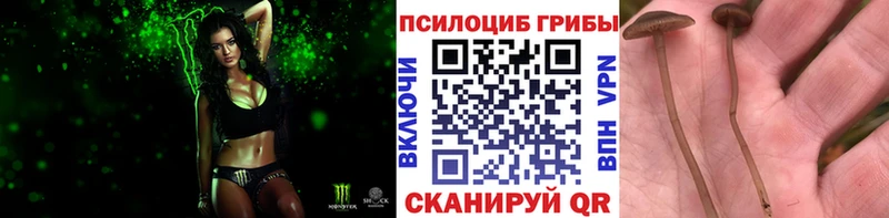 кракен сайт  Заречный  Галлюциногенные грибы MAGIC MUSHROOMS 